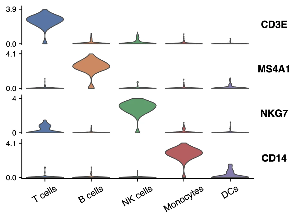 Stacked violin plot of CD3E, MS4A1, NKG7 and CD14 expression across immune cell clusters from single-cell RNA-seq